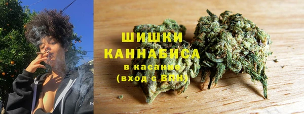 прущие крисы Белокуриха
