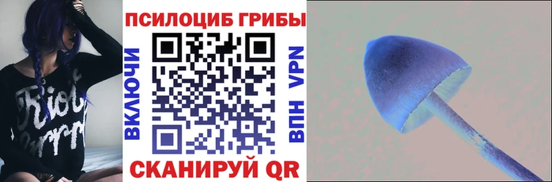 Купить закладки  Первомайск  Галлюциногенные грибы Magic Shrooms 
